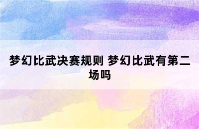 梦幻比武决赛规则 梦幻比武有第二场吗